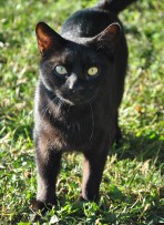 dsc_8783.jpg